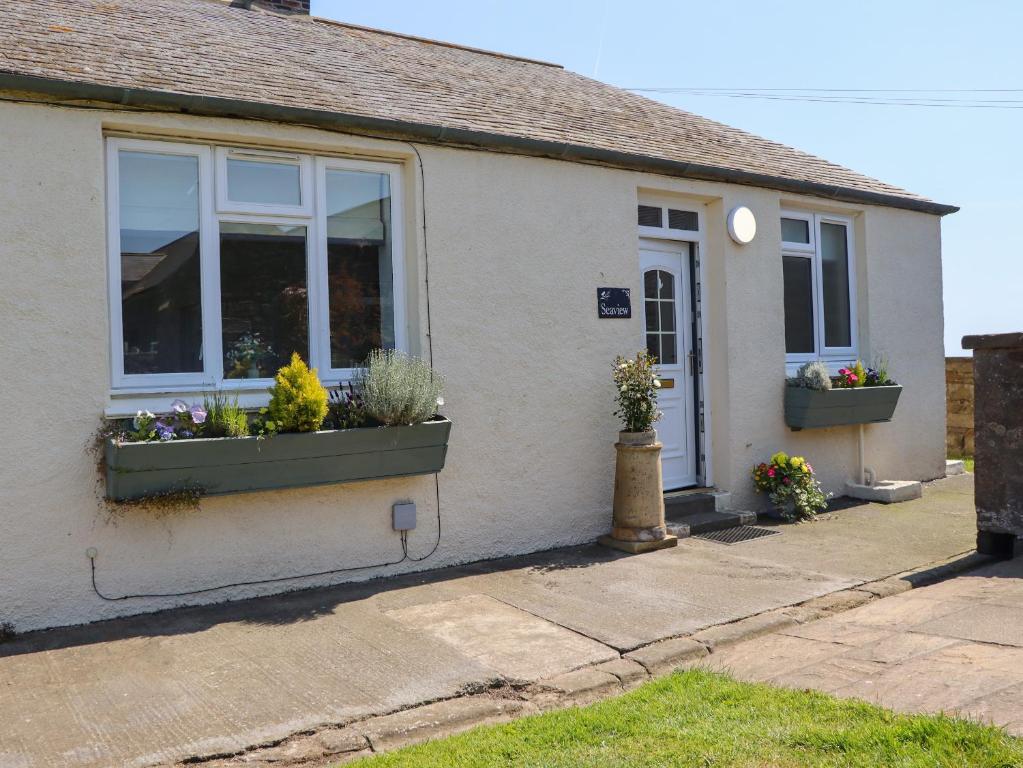 a house with two windows with flower boxes on it at Seaview Howick in Craster
