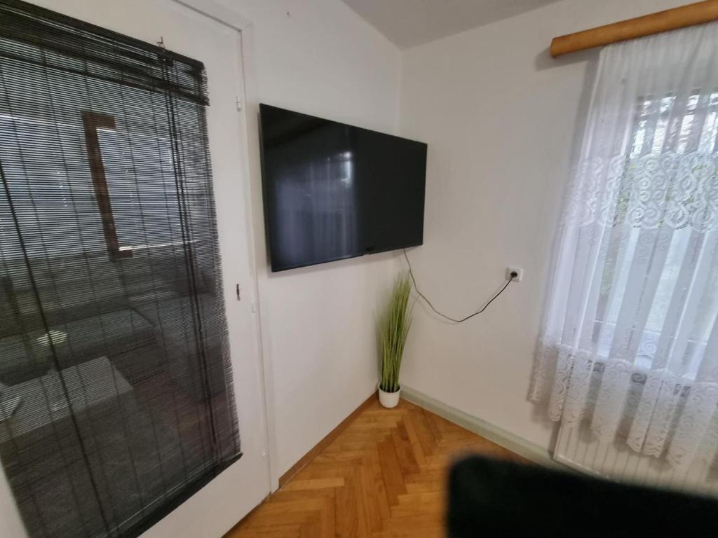 TV a/nebo společenská místnost v ubytování Pension DonauBlick Grein 1 , Spitzfeldstr 1