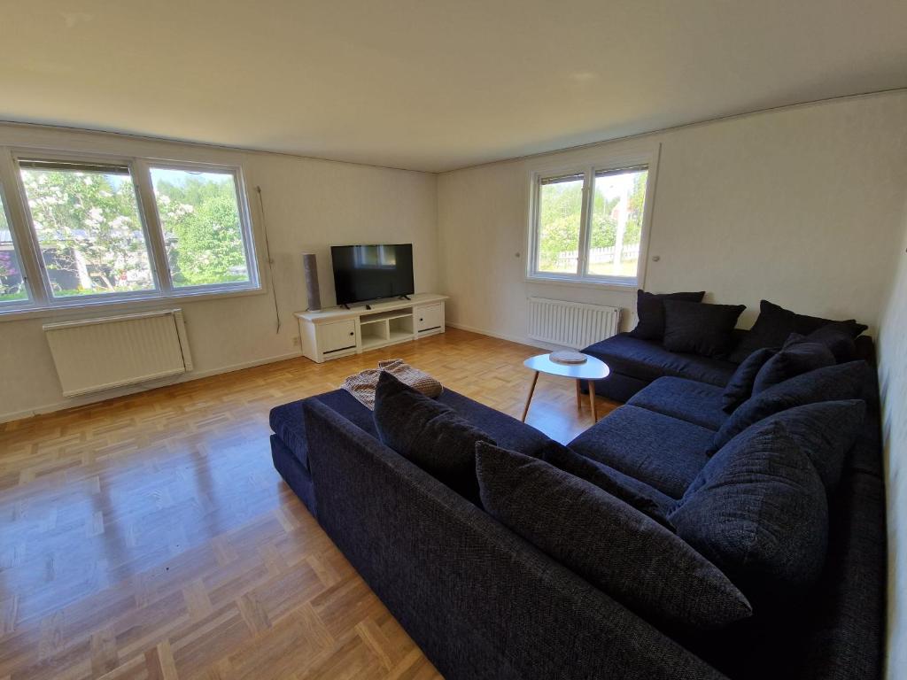 TV a/nebo společenská místnost v ubytování Ferienhaus in Lönneberga