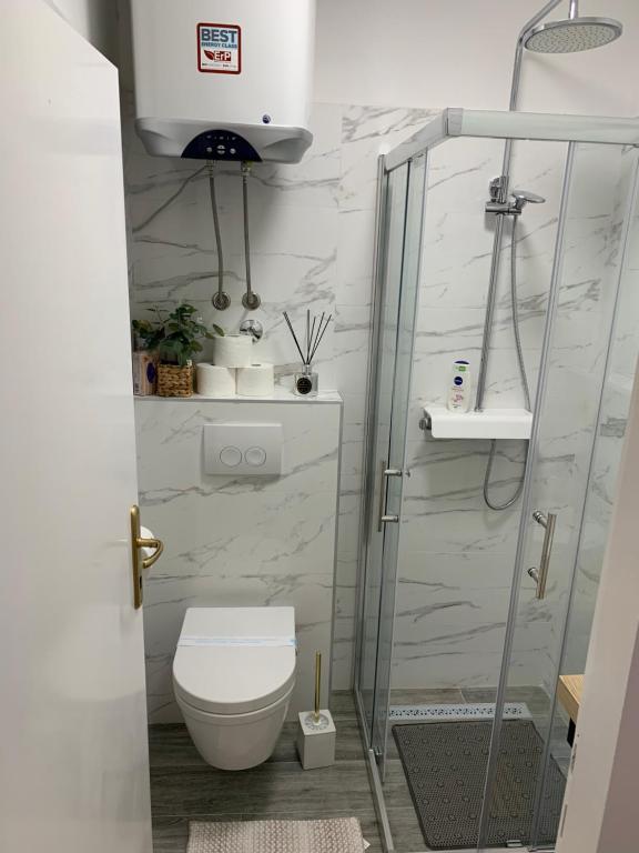 uma casa de banho com um WC e uma cabina de duche em vidro. em Sun&Fun Studio Apartment em Hvar