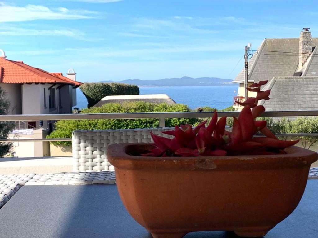 a flower pot on a balcony with a view of the ocean at Anchor's Rest in Hermanus