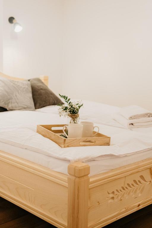 Apartamenty Górajski Spa - 8