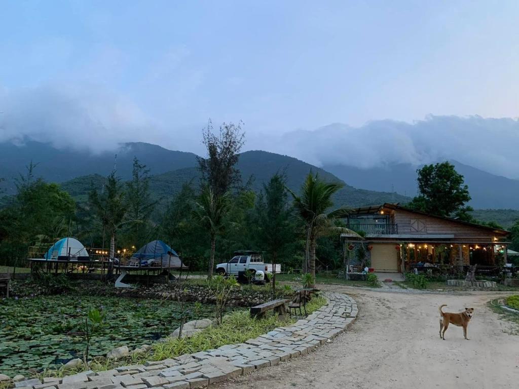 un chien debout devant un bâtiment avec des montagnes en arrière-plan dans l'établissement Homie Hava Homestay, à Lang Co