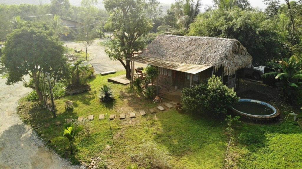 Zahrada ubytování Homie Hava Homestay