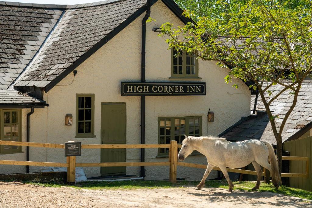 een wit paard dat voor een gebouw loopt bij High Corner Inn in Ringwood
