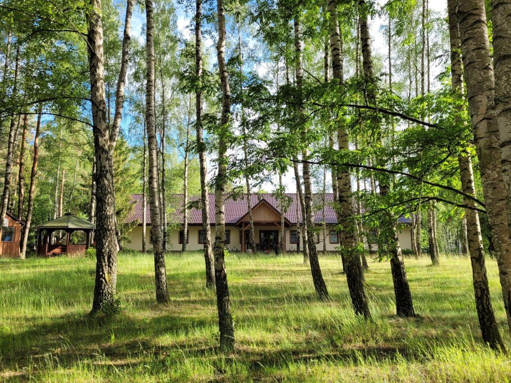uma casa no meio de uma floresta de árvores em Ośrodek Wypoczynkowy Zacisze, Okoniny em Śliwice