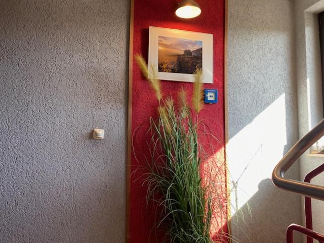 Hotel zum Ziehbrunnen - Resim 11