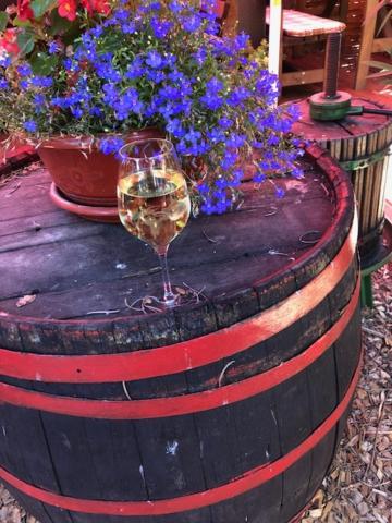 Hotel zum Ziehbrunnen - Resim 14