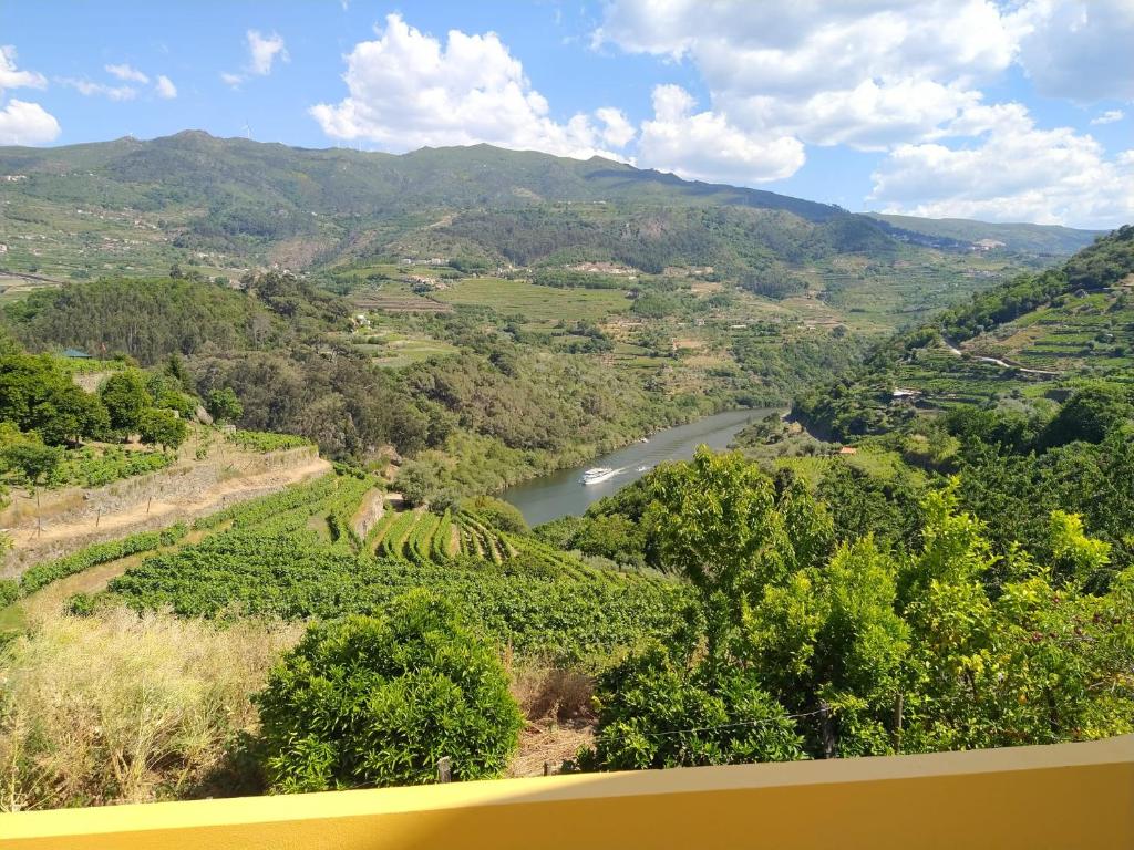 a view of a river in a valley with trees at Casa Avós D'Ouro - Barqueiros, Mesão Frio, Douro in Mesão Frio