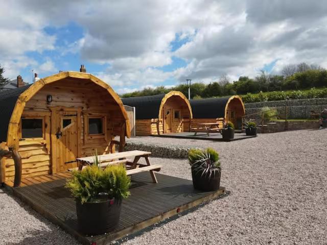Una cabaña de madera con una mesa de picnic y plantas en macetas. en The Plough and Harrow Tilmanstone, en Deal