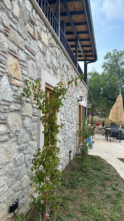 a stone building with a plant growing next to it at 7011 Dadya Rooms in Datca