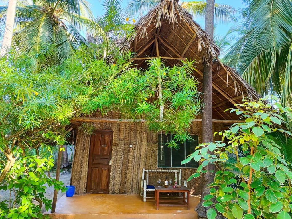 Zahrada ubytování Your Zanzibar Place