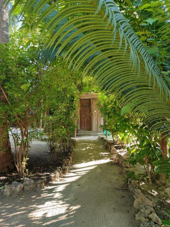 Zahrada ubytování Your Zanzibar Place