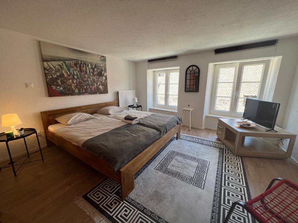 een slaapkamer met een groot bed en een televisie bij Appartement en vieille ville de Porrentruy in Porrentruy