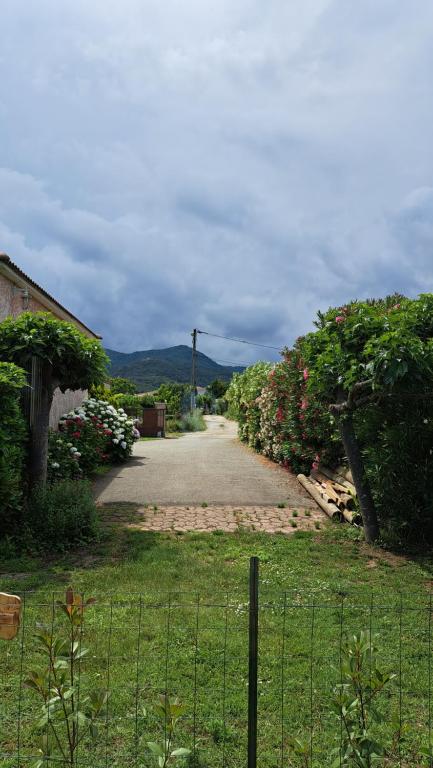 Příroda nedaleko apartmánu