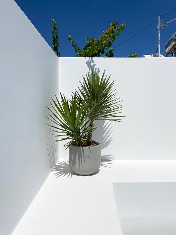 Φωτογραφία από το άλμπουμ του Marousi Cycladic House with private pool στην Έξω Γωνιά