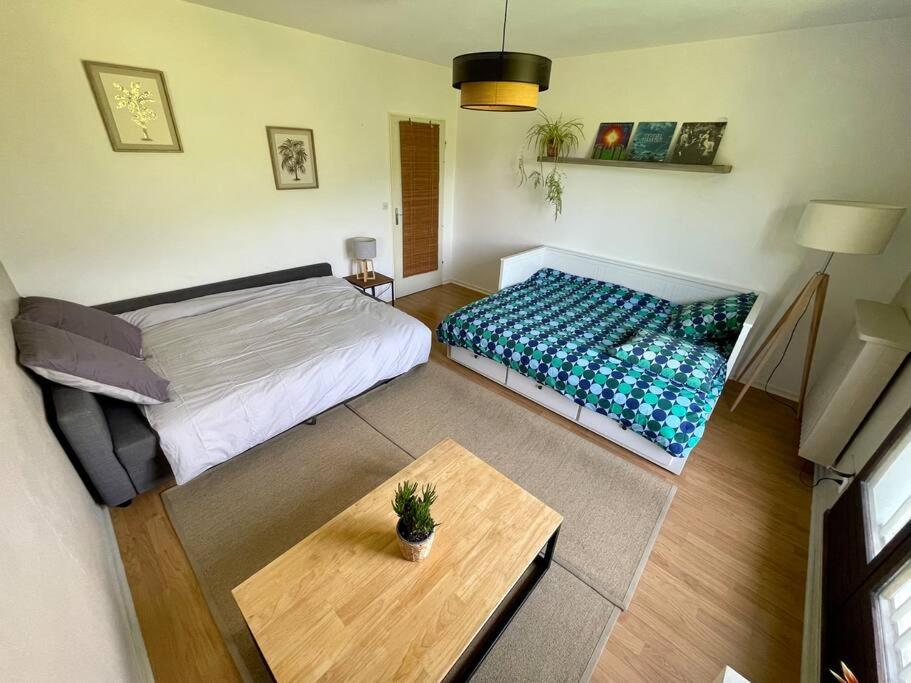 a room with two beds and a table in it at Studio au pied du Vercors in Saint-Jean-en-Royans