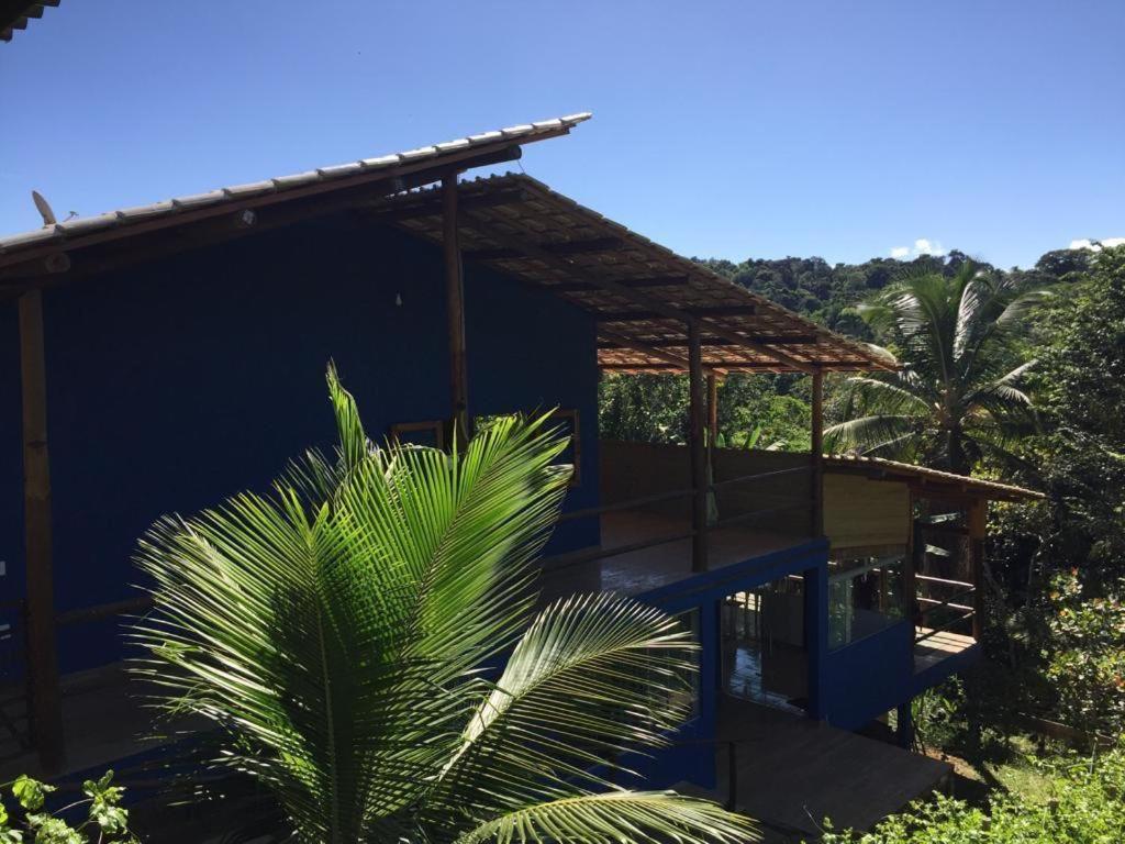 a house with a palm tree in front of it at Casa especial em Itacaré in Itacaré