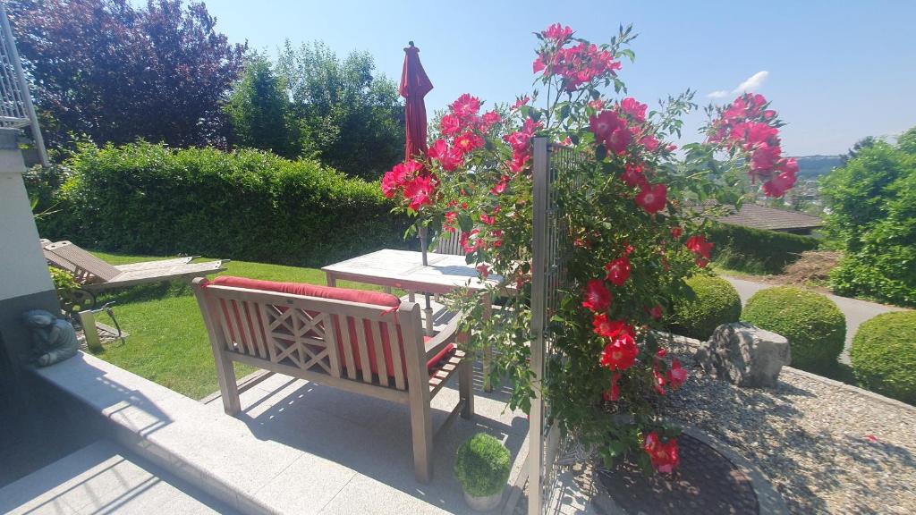 Balkón nebo terasa v ubytování F E R I E N W O H N U N G "Am Halbenstein" mit Garten