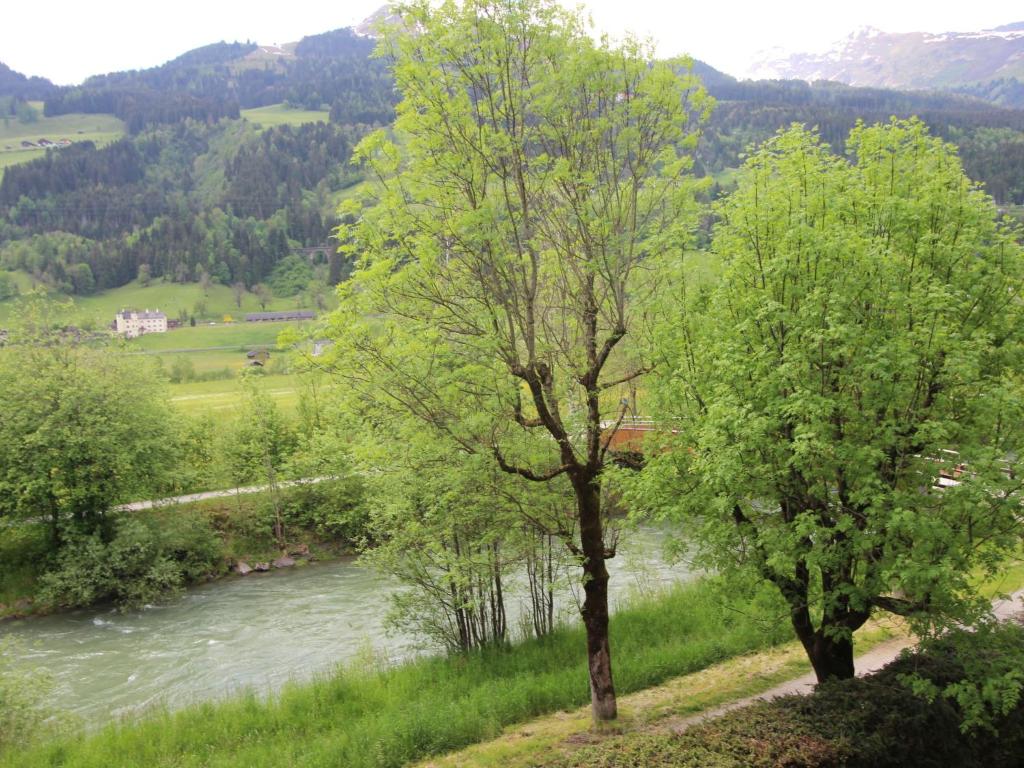 Príroda v okolí apartmánu
