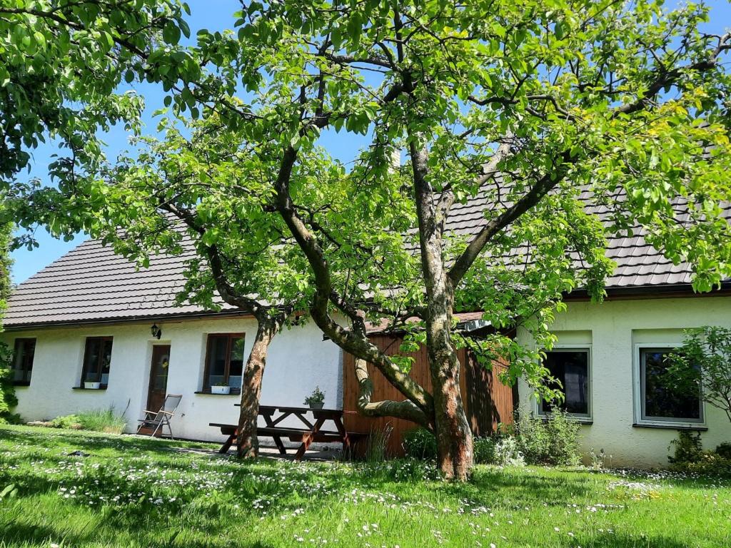 a house with a tree in front of it at Holiday Home Chrastov by Interhome in Černov