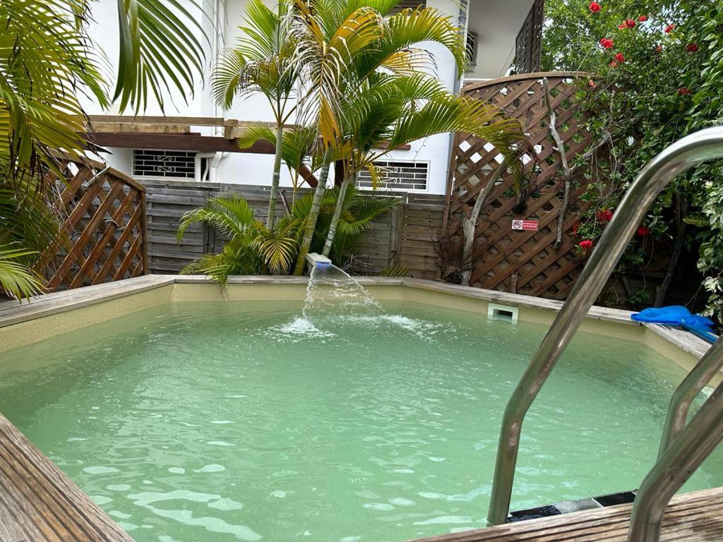 una fuente de agua en una piscina con una palmera en Tartane beach spa, en La Trinité