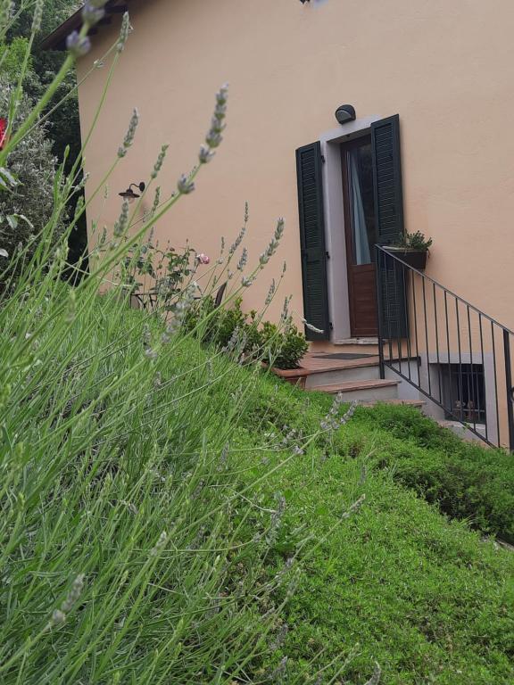 Vonkajšia záhrada v ubytovaní Agriturismo Il Truffarello TODI