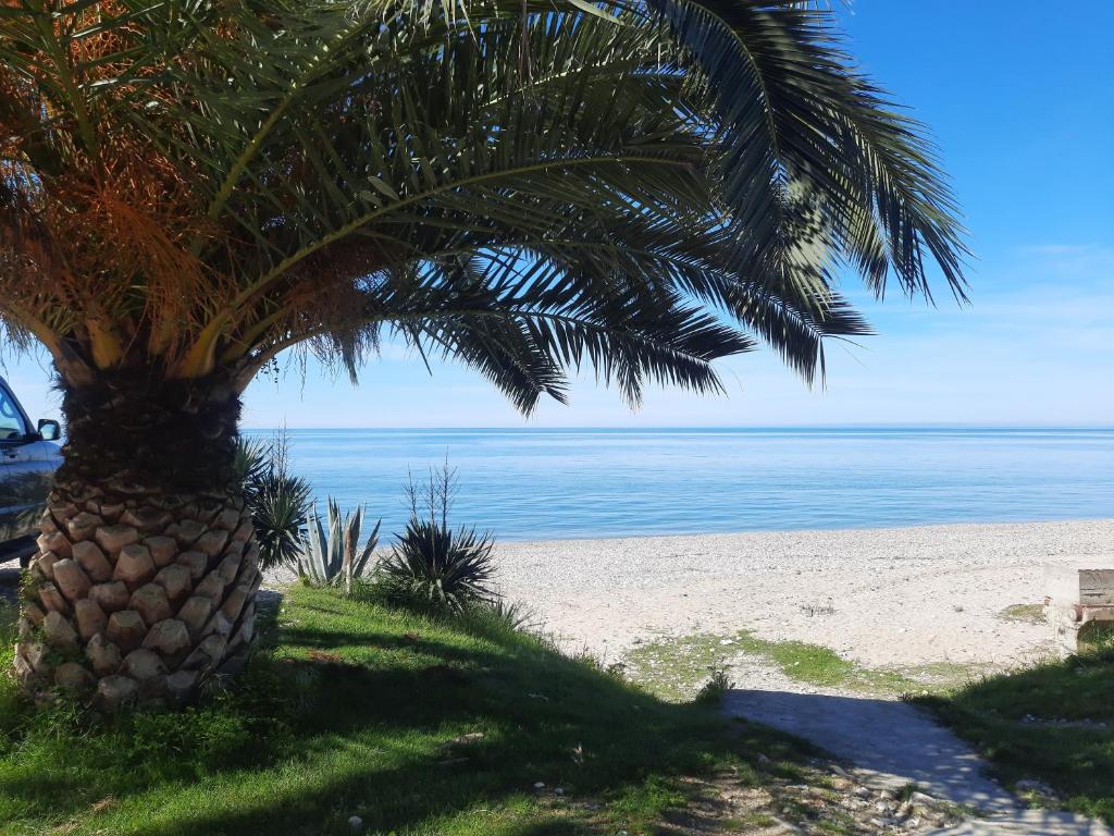 Фото Гостевой дом Мандаринка