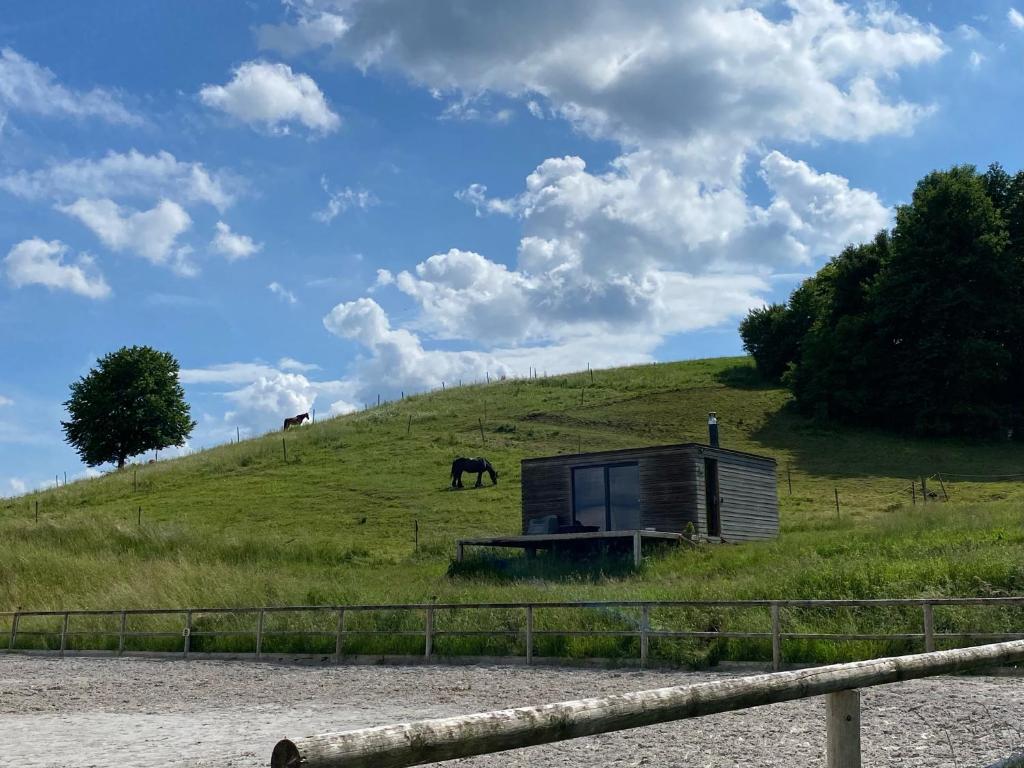 una cabaña en un campo con dos caballos en una colina en Apartma Hisa konj, en Pernica