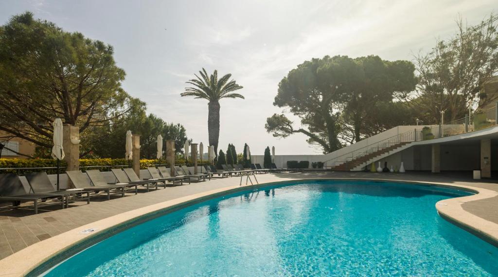 - une piscine avec des chaises longues et un palmier dans l'établissement Ilunion Caleta Park, à Sant Feliu de Guíxols