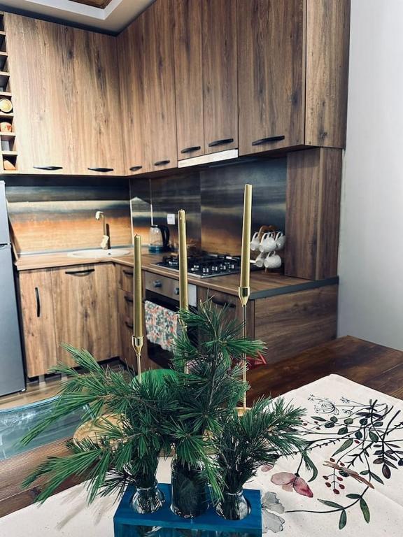 Woodstar Reviews Matttroy