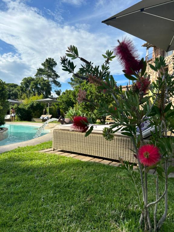 a plant with flowers in the grass next to a pool at Hôtel Ambassador Palombaggia in Porto-Vecchio