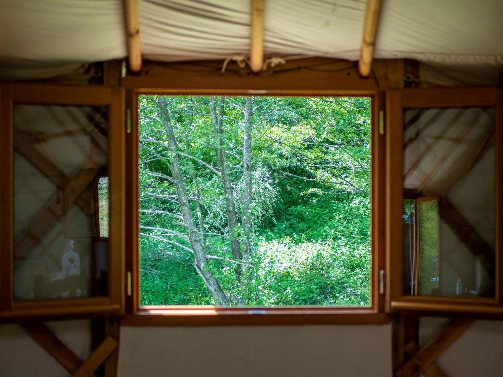 a window in a room with a view of a forest at Yourtissimo in Laprugne