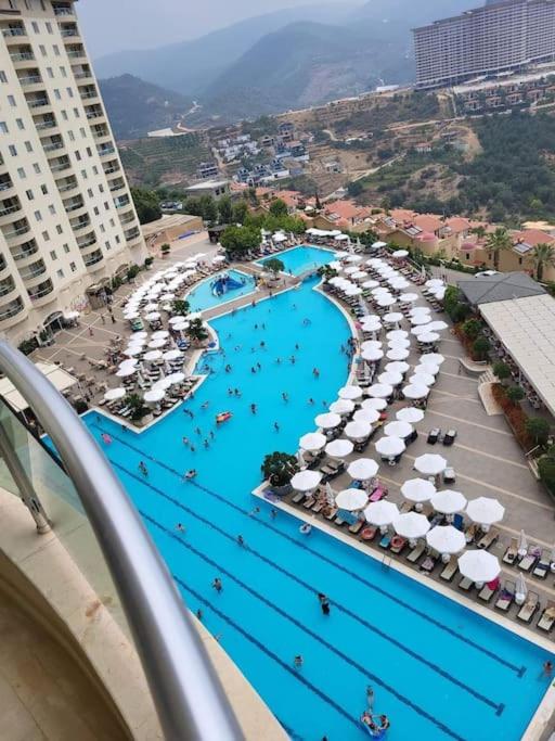 Výhled na bazén z ubytování Gold City Hotel nebo okolí