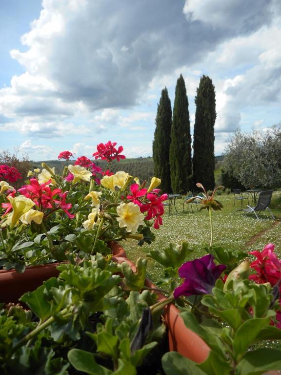 a bunch of flowers in pots in a garden at Torre Di Ponzano in Barberino di Val dʼElsa