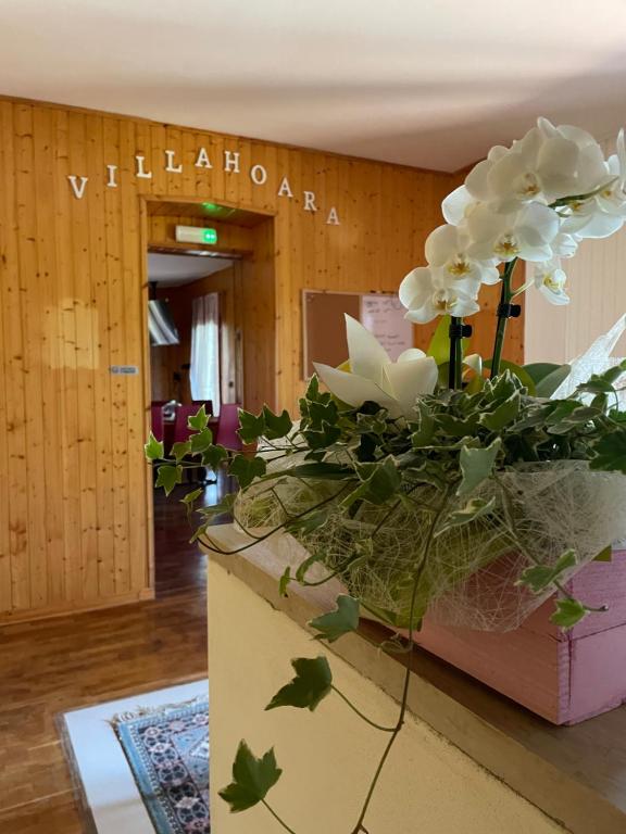 un jarrón de flores sentado en la parte superior de un mostrador en Villa Hoara en Gorizia