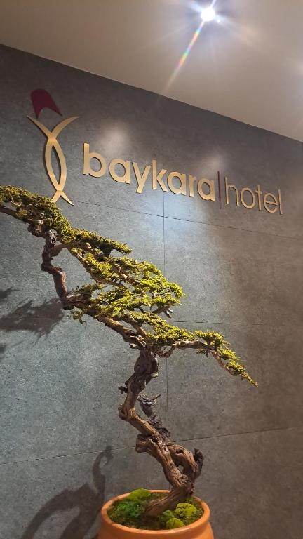 a bonsai tree in a pot in front of a hotel at Baykara Hotel in Konya