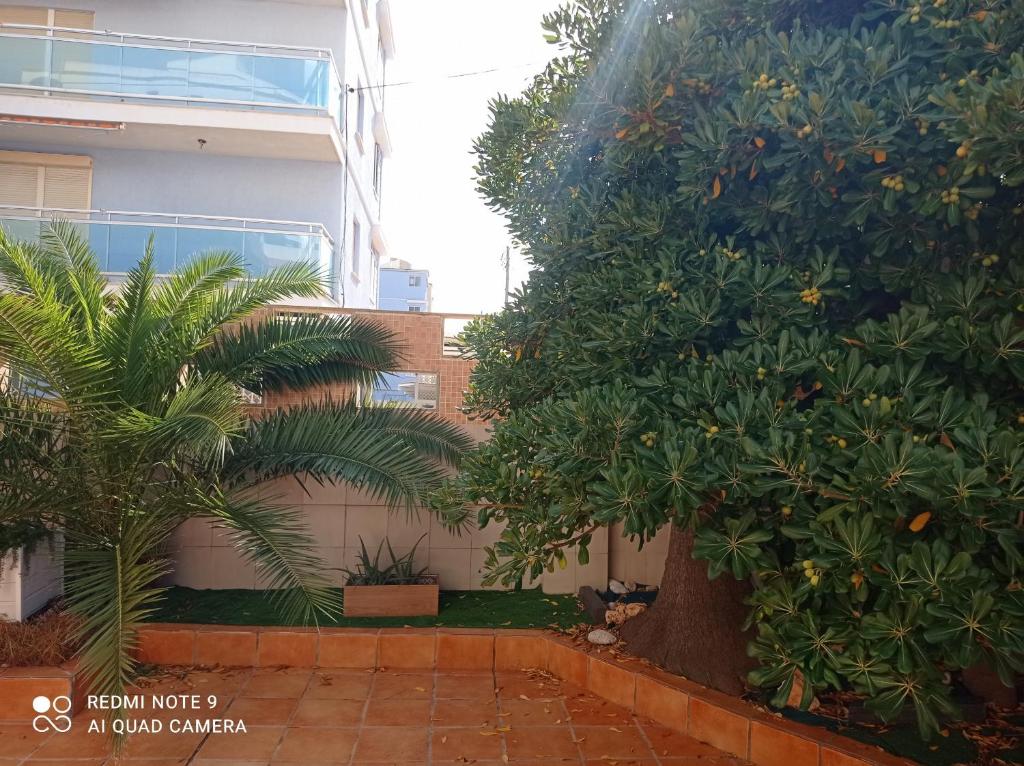Fotografie z fotogalerie ubytování Avda La Mota 10 Solo Familias Serviplaya v destinaci Casas Las Basas