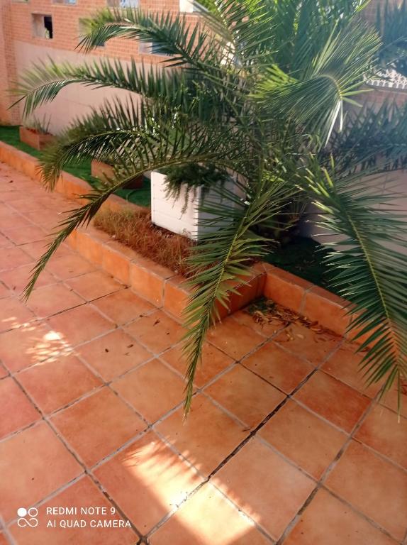 Fotografie z fotogalerie ubytování Avda La Mota 10 Solo Familias Serviplaya v destinaci Casas Las Basas