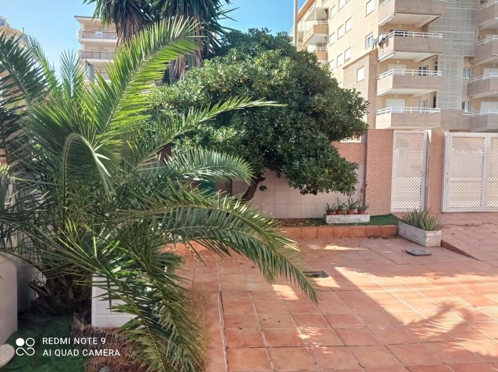 Fotografie z fotogalerie ubytování Avda La Mota 10 Solo Familias Serviplaya v destinaci Casas Las Basas