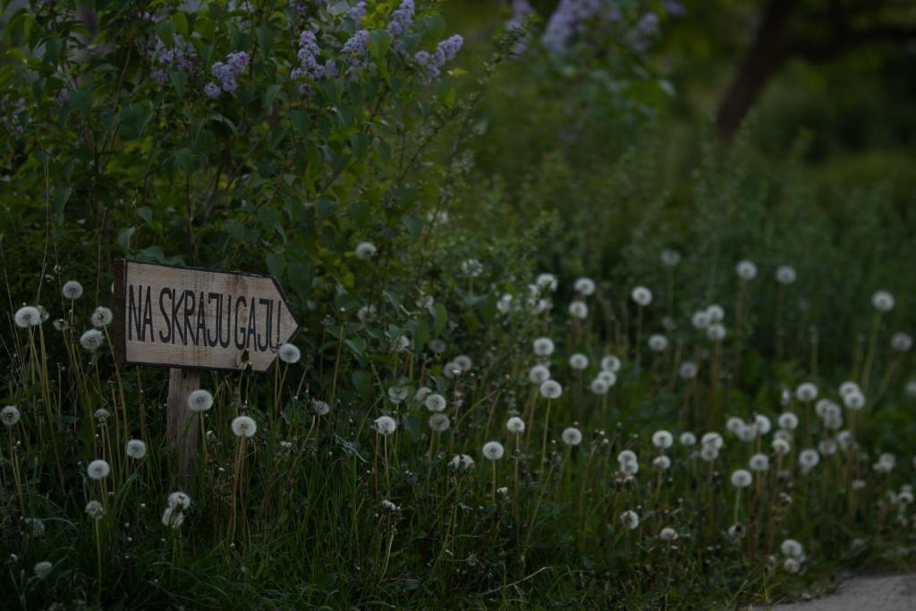 Zahrada ubytování Na skraju gaju