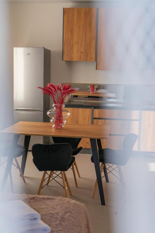 Kuchyň nebo kuchyňský kout v ubytování TREND HOUSE Apartments