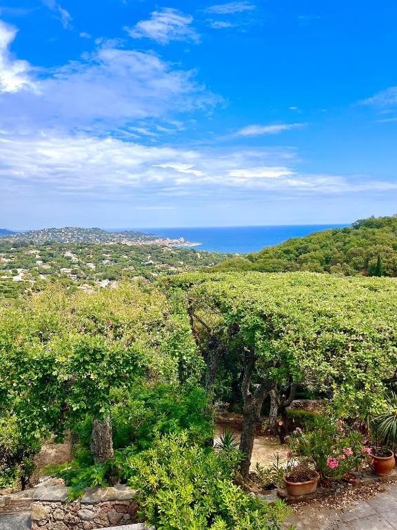 - une vue sur l'océan depuis une colline agrémentée de plantes dans l'établissement Les Collines, à Sainte-Maxime