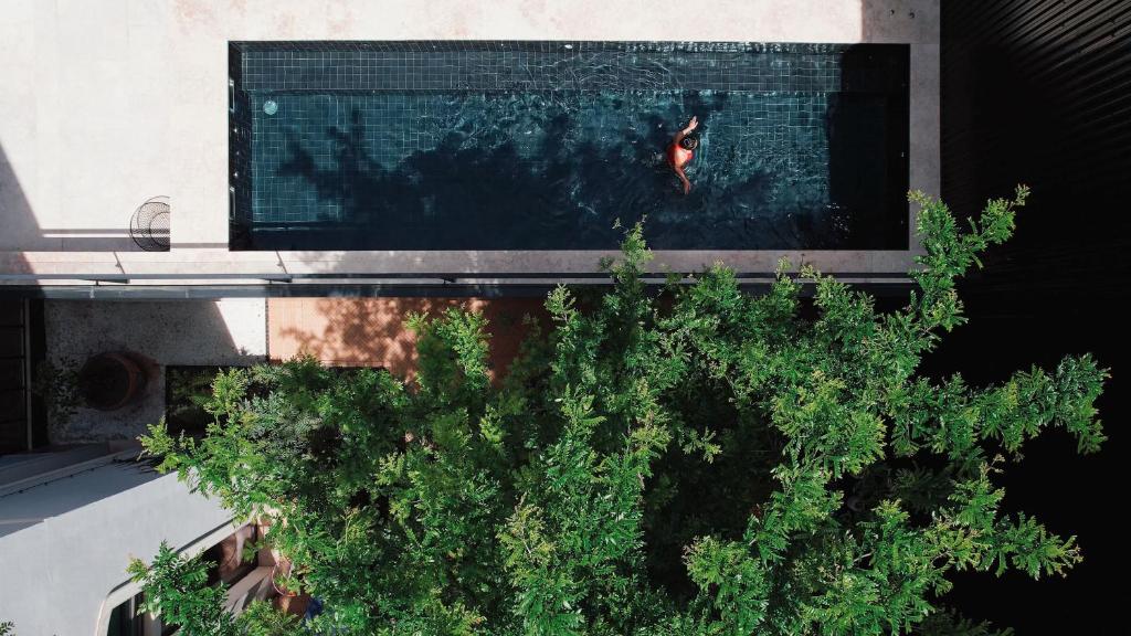 een persoon die zwemt in een zwembad naast een boom bij Hotel Valverde Lisboa - Relais & Chateaux in Lissabon