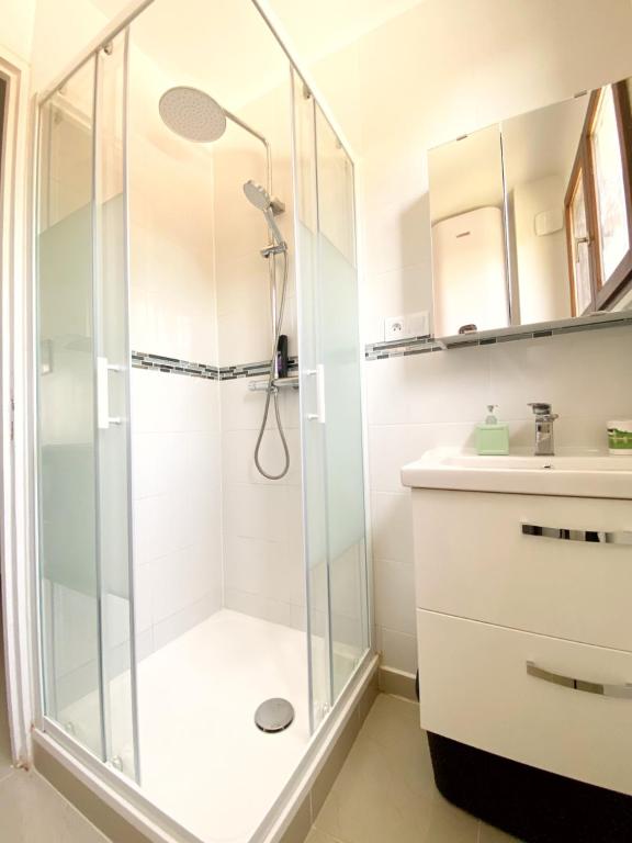 uma casa de banho com um chuveiro e um lavatório. em Studio entre Paris et Disney em Villiers-sur-Marne