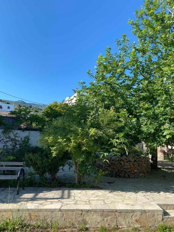 A garden outside Males House