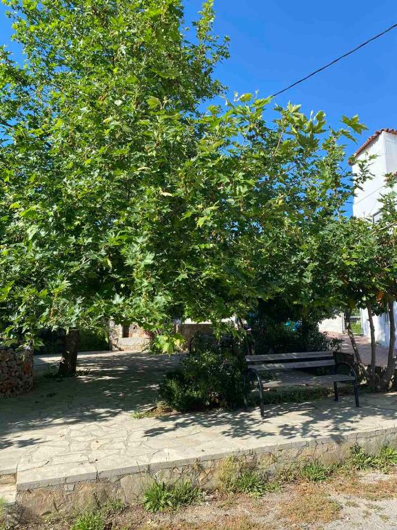 A garden outside Males House