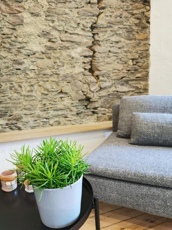 a living room with a couch and a table with a plant at Das Kirch24 - DAS Ferienhaus in Heidenburg in Heidenburg
