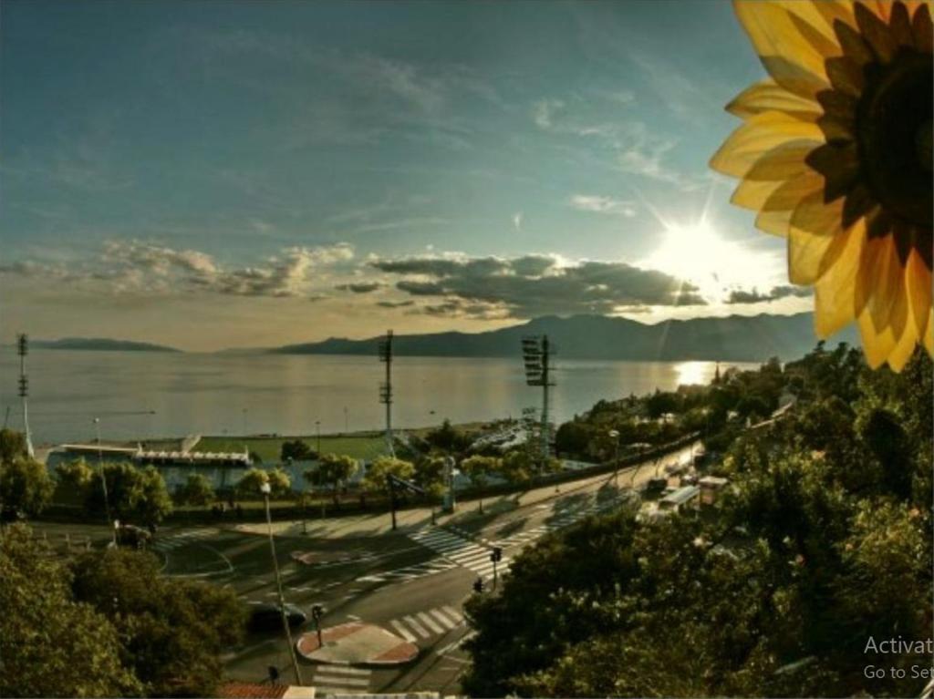 Príroda v okolí apartmánu