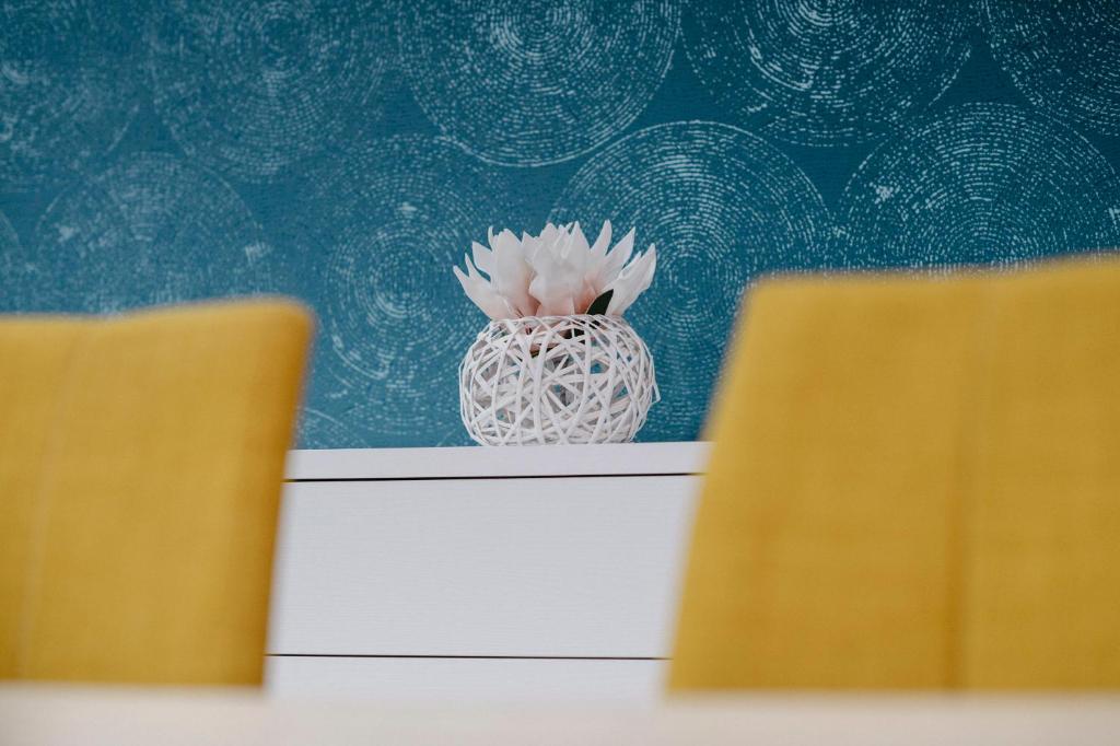 Apartamento La Plana - 9